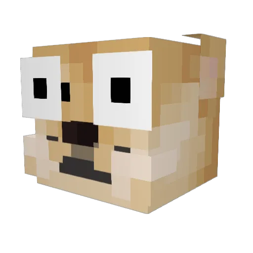WaffelKing612 Minecraft avatar head, 3D render