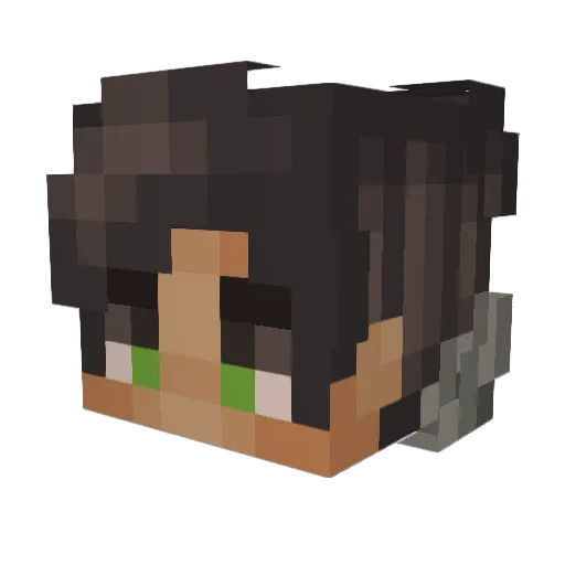 Waffle1556 Minecraft avatar head, 3D render