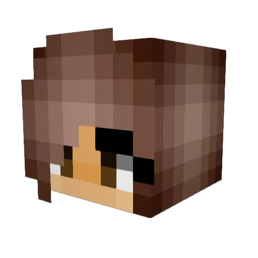 Waffle229 Minecraft avatar head, 3D render