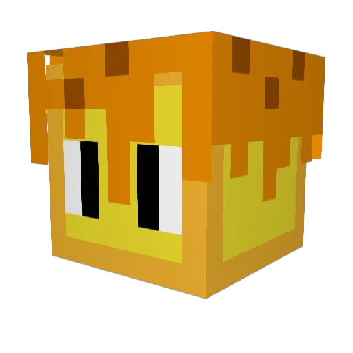 WaffleBro_ Minecraft avatar head, 3D render