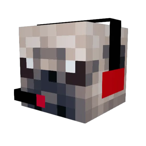 WaffleCat719 Minecraft avatar head, 3D render