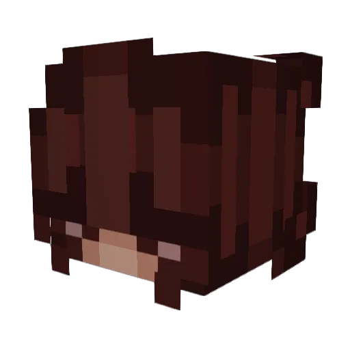 WaffleCraft17 Minecraft avatar head, 3D render