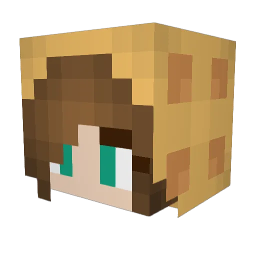 WaffleFries18 Minecraft avatar head, 3D render