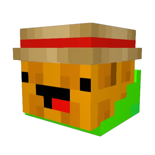 WaffleGaminx Minecraft avatar head, 3D render