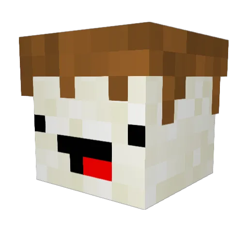 WaffleGod45 Minecraft avatar head, 3D render