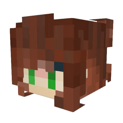 WaffleHere Minecraft avatar head, 3D render
