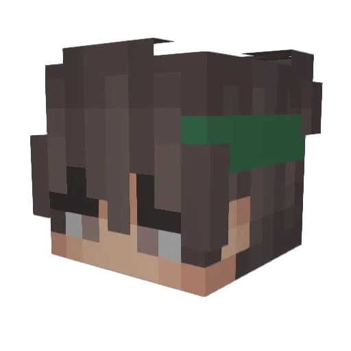 WaffleSloth20 Minecraft avatar head, 3D render