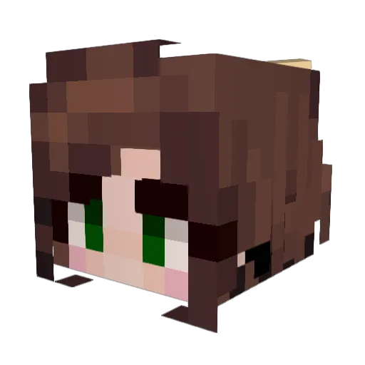 WaffleTale Minecraft avatar head, 3D render