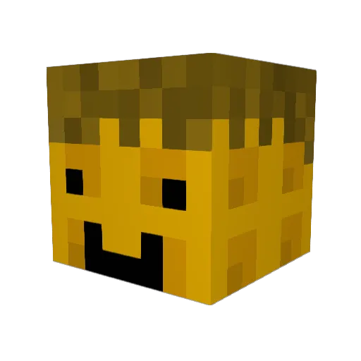 WaffleWSyrup Minecraft avatar head, 3D render