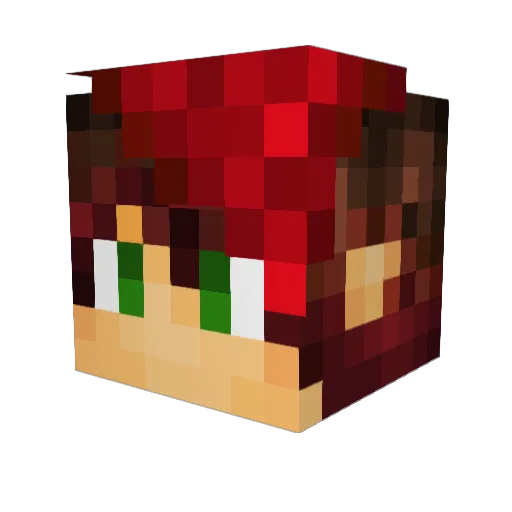 WaffleWilly002 Minecraft avatar head, 3D render