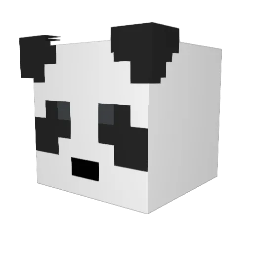 WaffleWizard870 Minecraft avatar head, 3D render