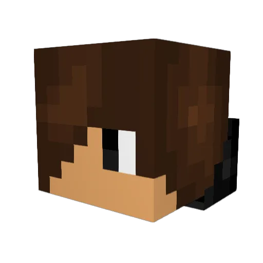 Waffle_Man148 Minecraft avatar head, 3D render
