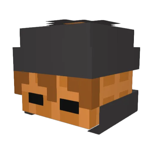 Wafflebaffle1 Minecraft avatar head, 3D render