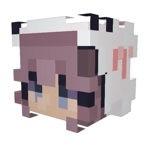 Waffleburger420 Minecraft avatar head, 3D render