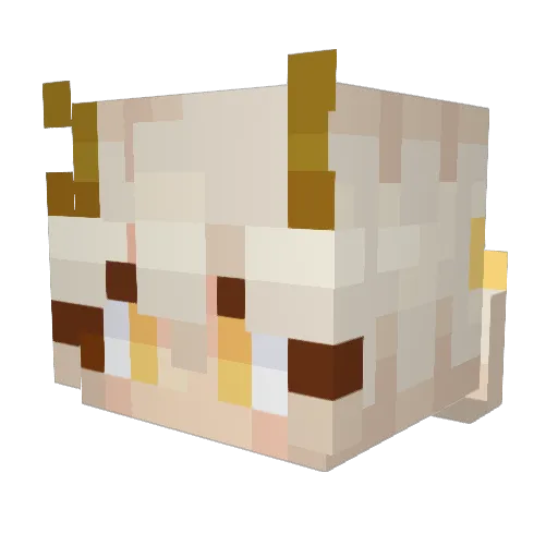 Wafflecat8456 Minecraft avatar head, 3D render