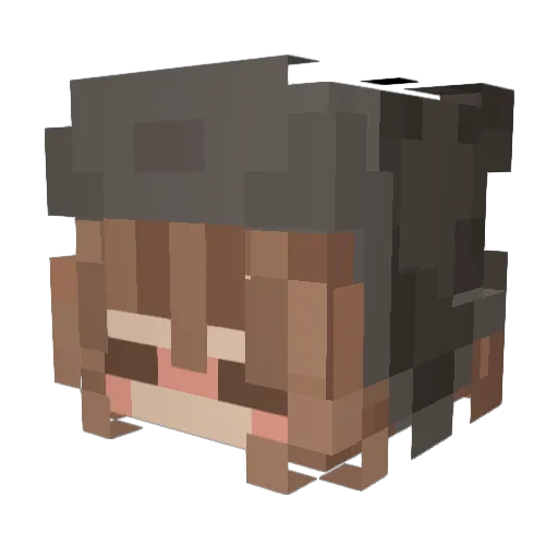 Wafflechu Minecraft avatar head, 3D render