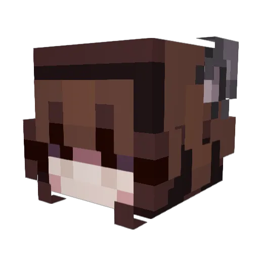 WaffledLife Minecraft avatar head, 3D render