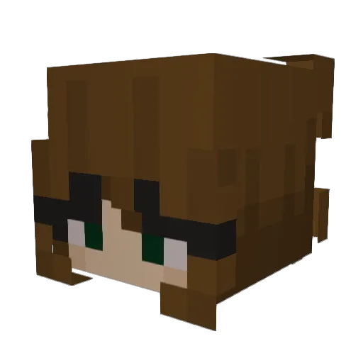 Waffleddd Minecraft avatar head, 3D render