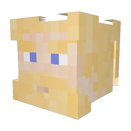 Wafflemonke Minecraft avatar head, 3D render