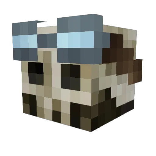 Waffles201 Minecraft avatar head, 3D render