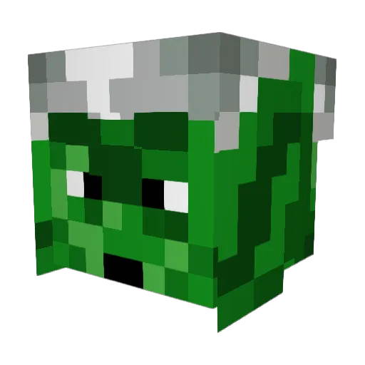 Waffles565 Minecraft avatar head, 3D render