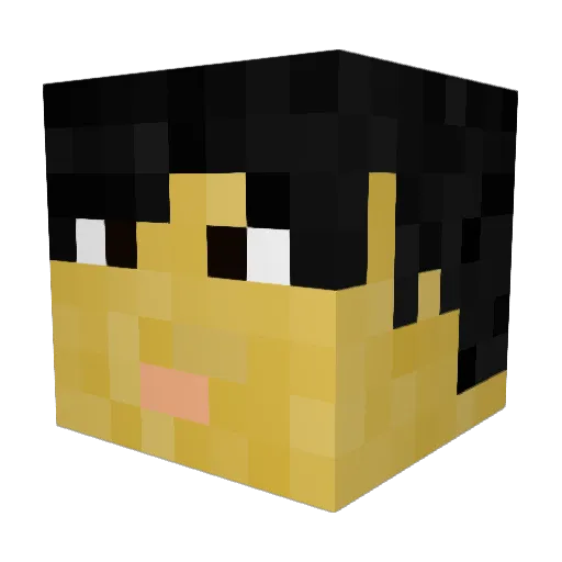 Waffles7035 Minecraft avatar head, 3D render