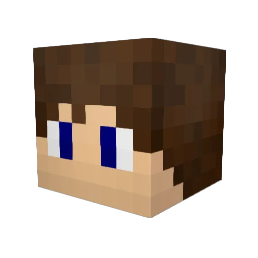 Waffles939 Minecraft avatar head, 3D render