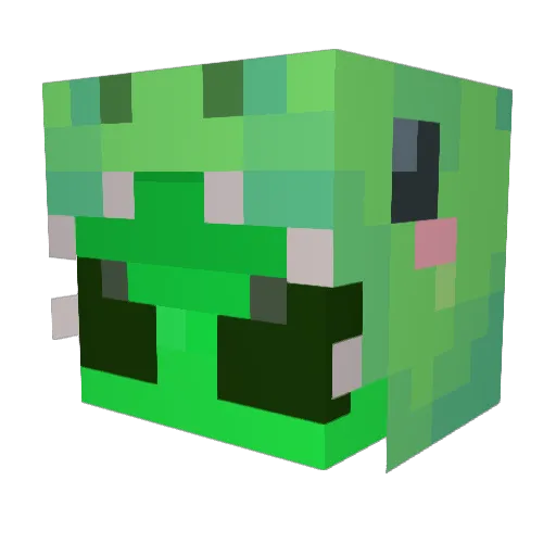 Waffles_032 Minecraft avatar head, 3D render