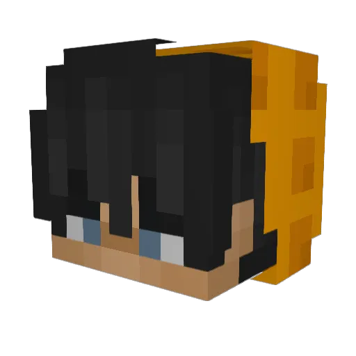 Waffles_Klapper Minecraft avatar head, 3D render