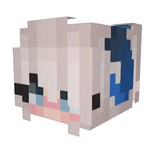 Waffletaffl Minecraft avatar head, 3D render