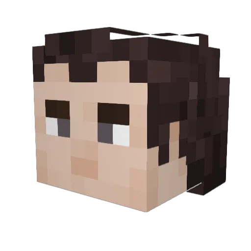 WafflexFTW Minecraft avatar head, 3D render