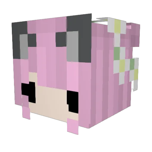 Wafflez1234 Minecraft avatar head, 3D render