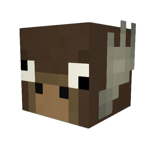 Wafflez1235 Minecraft avatar head, 3D render