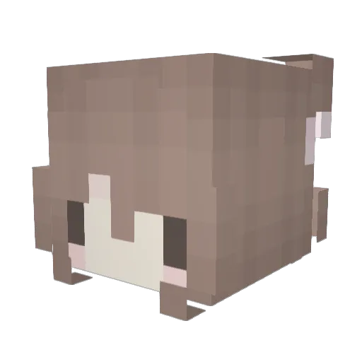 Wafflez9 Minecraft avatar head, 3D render
