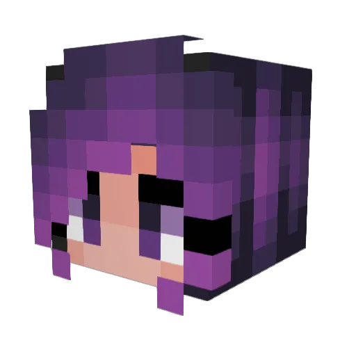 Wafflku Minecraft avatar head, 3D render