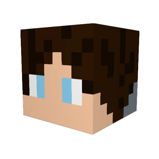 WafflyRabbit995 Minecraft avatar head, 3D render