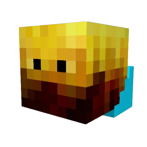 Wafflypage78 Minecraft avatar head, 3D render