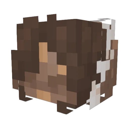 Wafle_Ryzowe Minecraft avatar head, 3D render