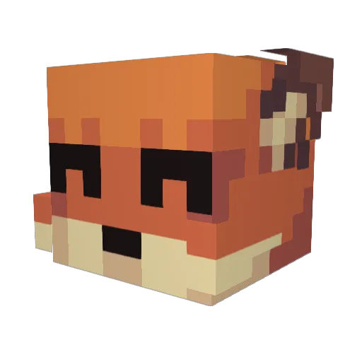Wafox Minecraft avatar head, 3D render