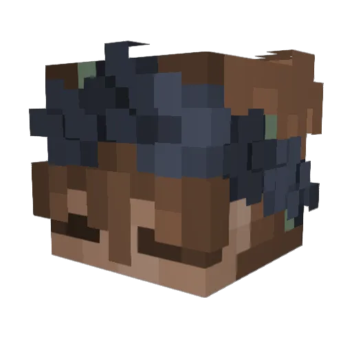 Wafsicles Minecraft avatar head, 3D render