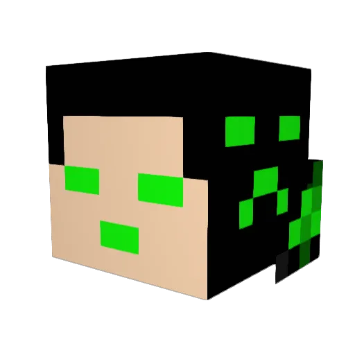 Waggie_007 Minecraft avatar head, 3D render