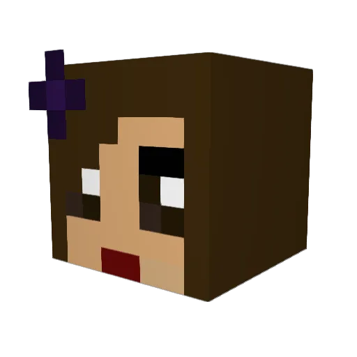Wagons Minecraft avatar head, 3D render