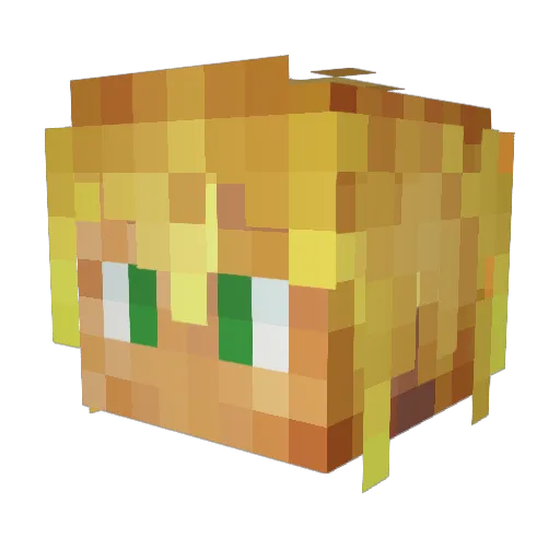 Wags22 Minecraft avatar head, 3D render