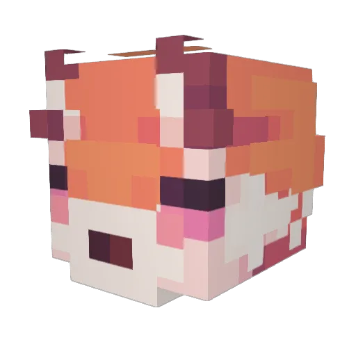 Wagumar Minecraft avatar head, 3D render