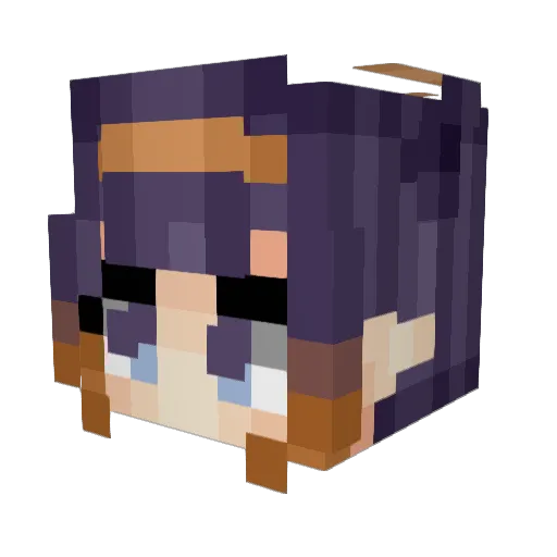 Wah_Tako_ Minecraft avatar head, 3D render