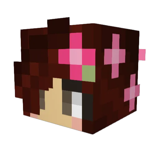 Wahmen Minecraft avatar head, 3D render