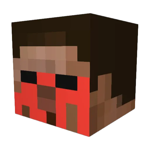 Wahoo8389 Minecraft avatar head, 3D render