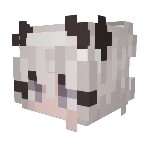 WaiJayn Minecraft avatar head, 3D render
