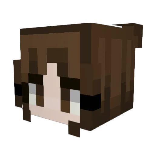 Waifu4Lifeu Minecraft avatar head, 3D render
