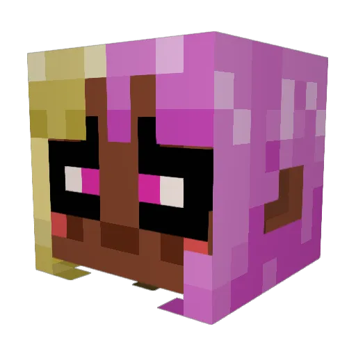WaiiTako Minecraft avatar head, 3D render